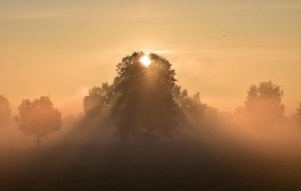 Crema News - Sole e nebbia